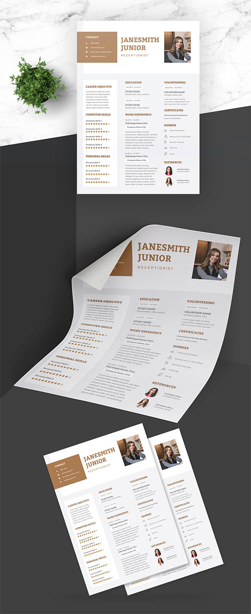 Feminine Resume with Brown Accents 430459281
