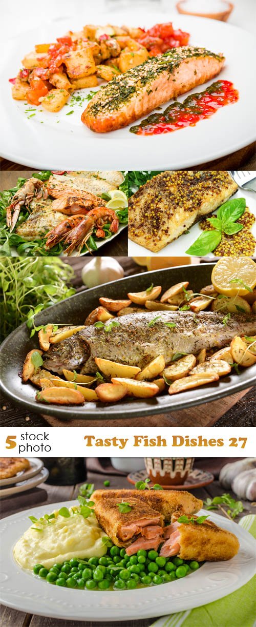 Photos - Tasty Fish Dishes 27