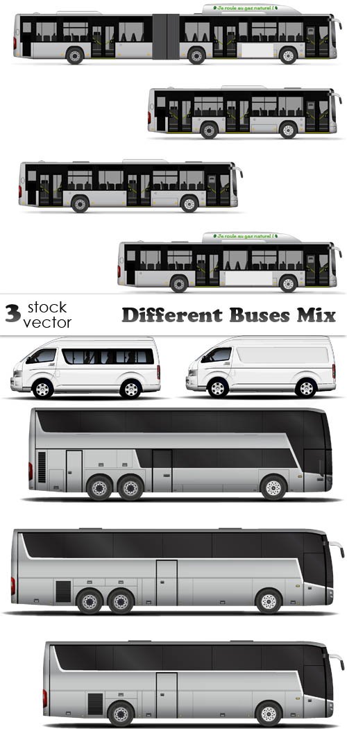 Vectors - Different Buses Mix