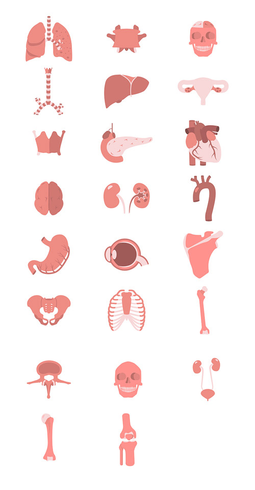 23 Human Anatomy Vector Icons