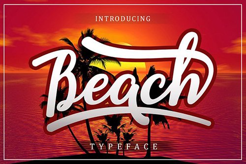 Beach Script Font