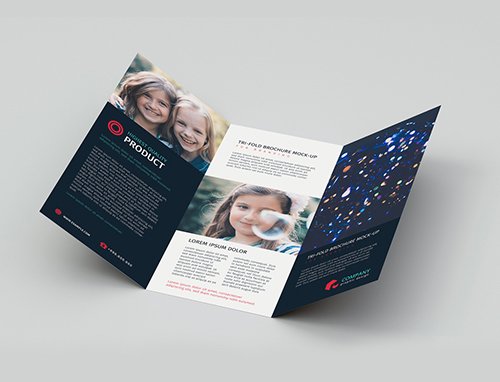 Tri-Fold Brochure Mockup 221888981