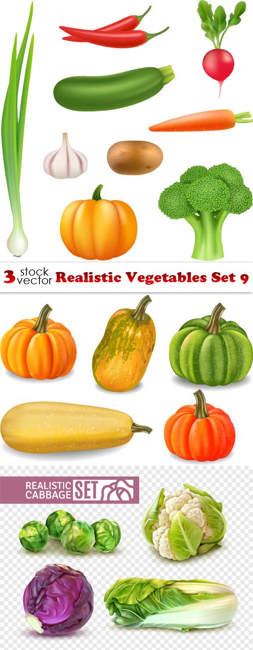 Vectors - Realistic Vegetables Set 9