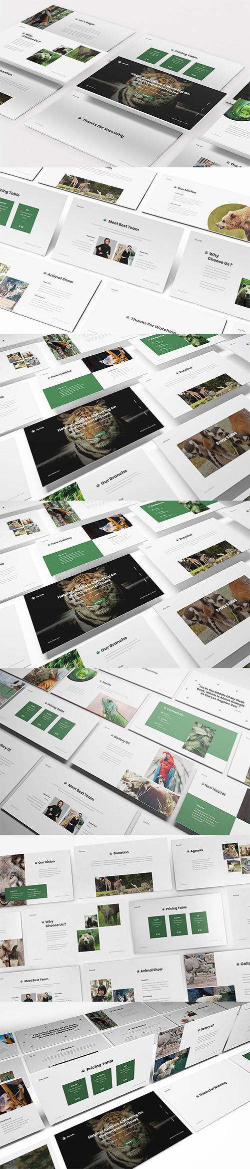 Zoo Powerpoint Template