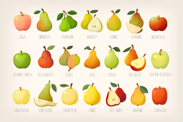 Pears and apples with names