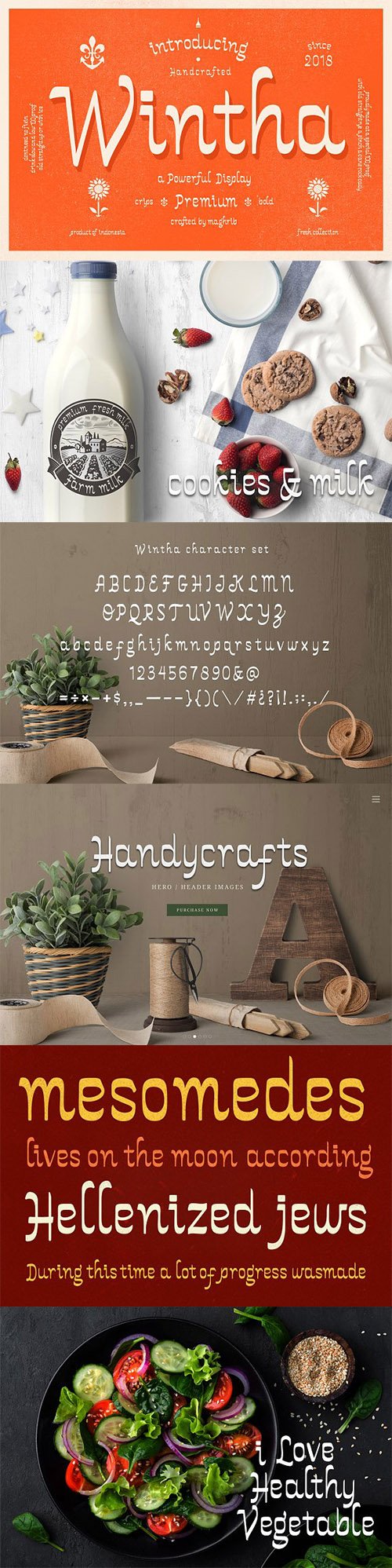 Wintha Typeface 3274402