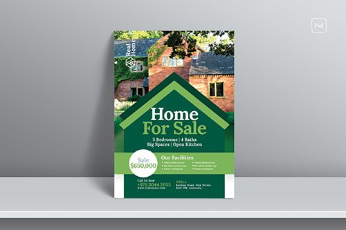 Real Estate Flyer