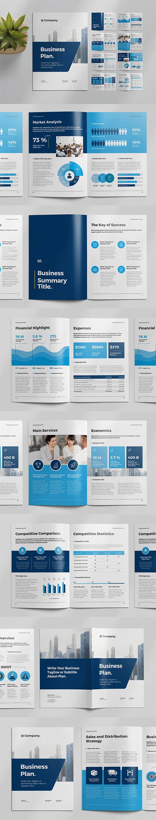 Business Plan Layout with Blue Accents