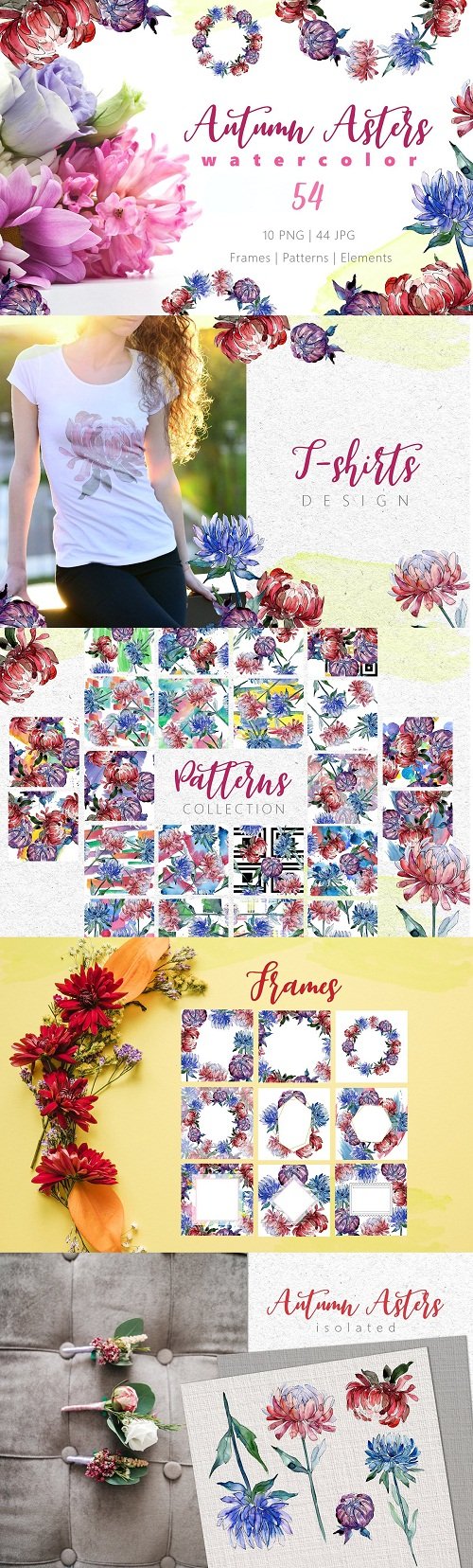 Autumn Asters Watercolor png - 3453032