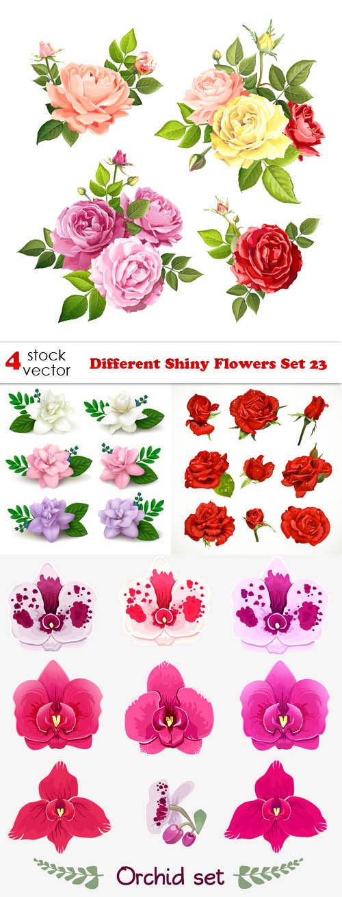 Vectors - Different Shiny Flowers Set 23