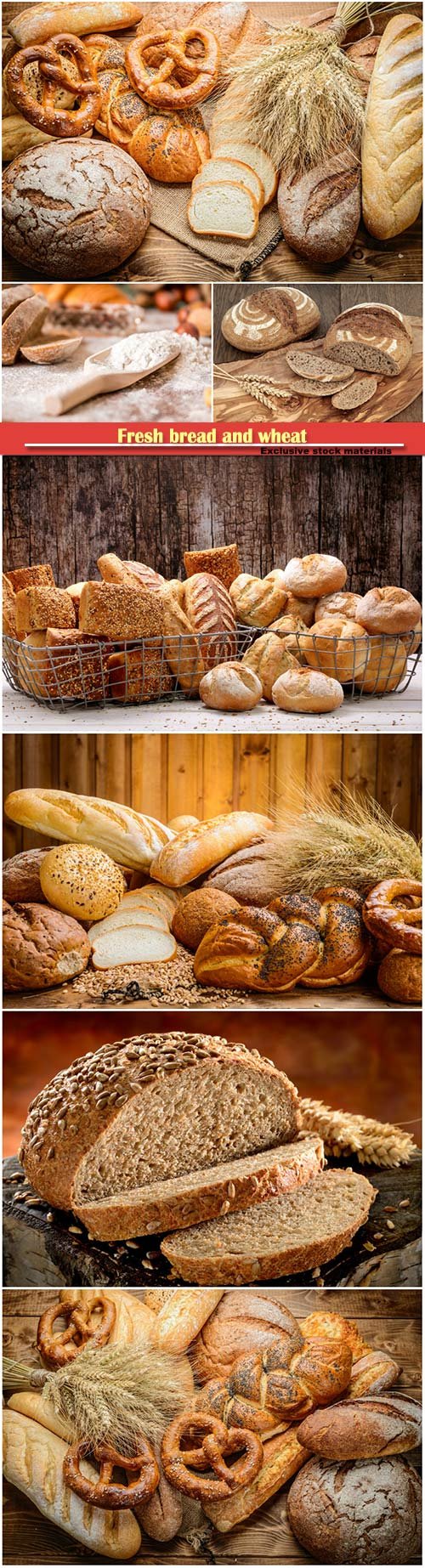 Fresh bread and wheat