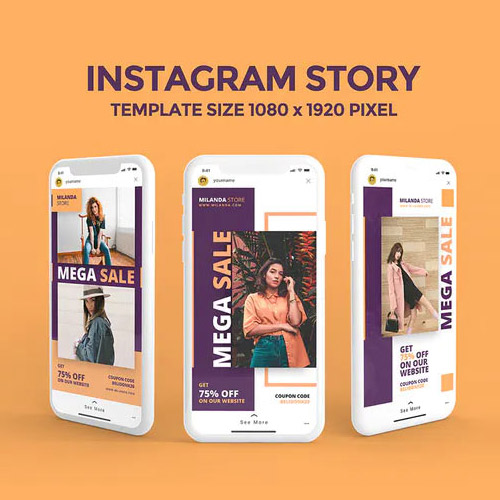 Instagram Story Template 3