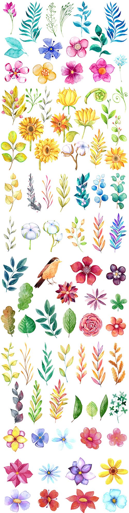 Watercolour collection flowers, leaves and branches