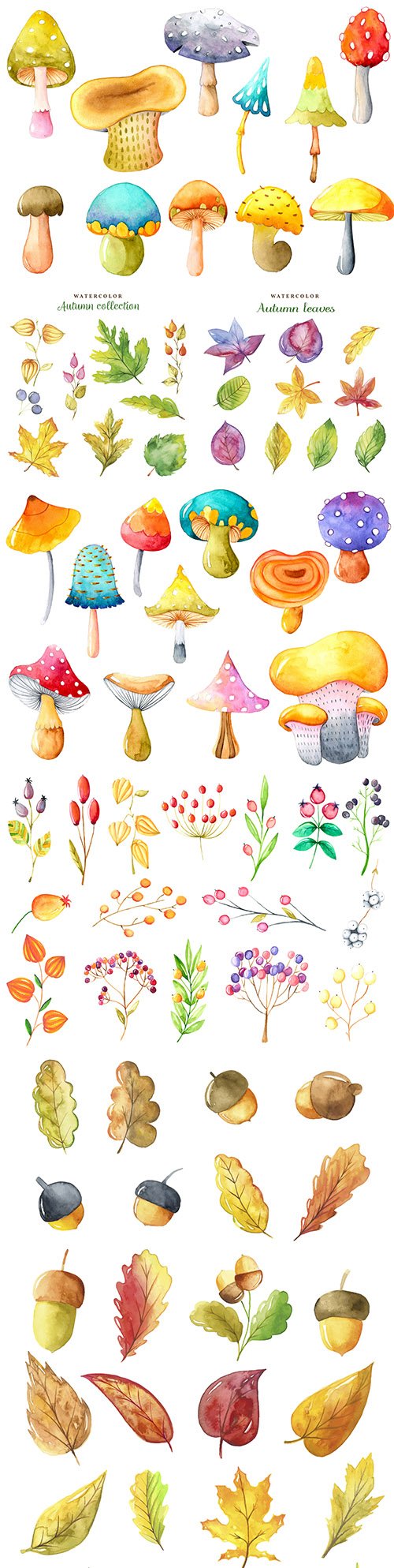 Mushrooms and autumn leaves collection watercolors