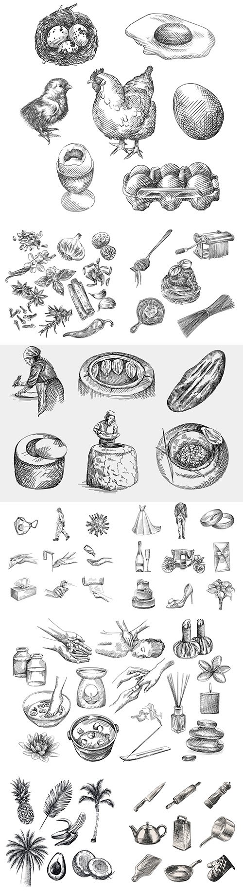 Hand-drawn sketches design vector illustrations