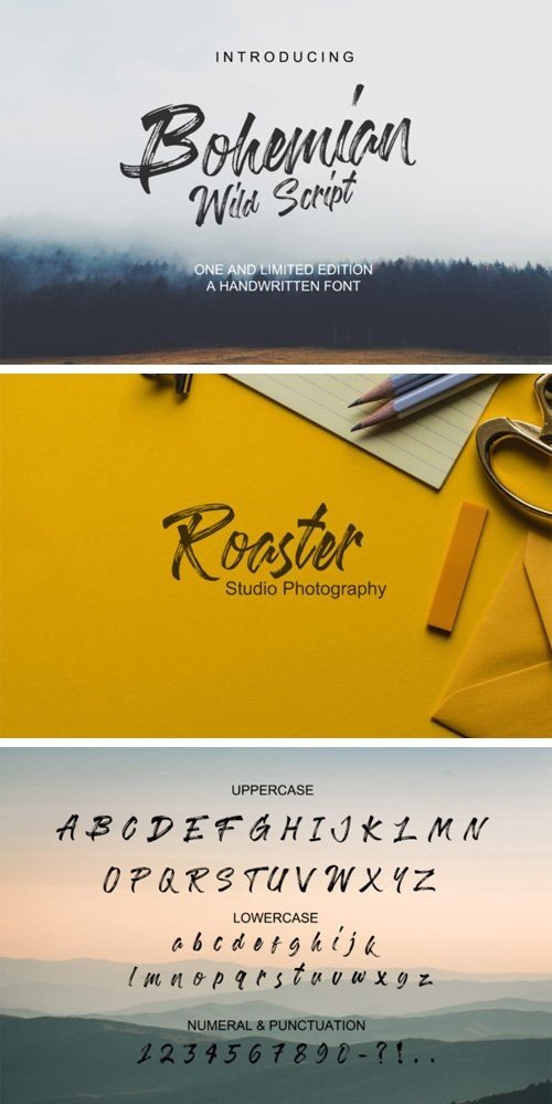 Bohemian Wild Script Font