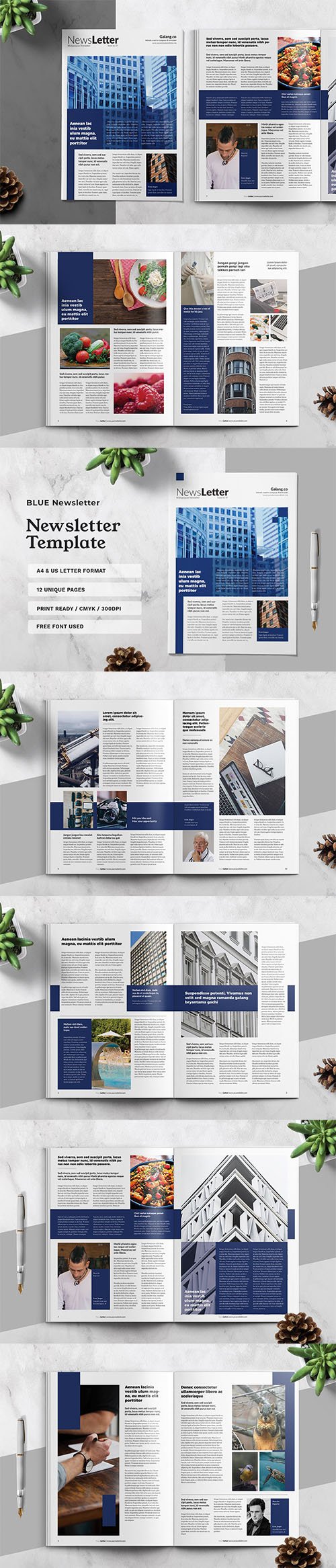 Corporate Business Newsletter Template