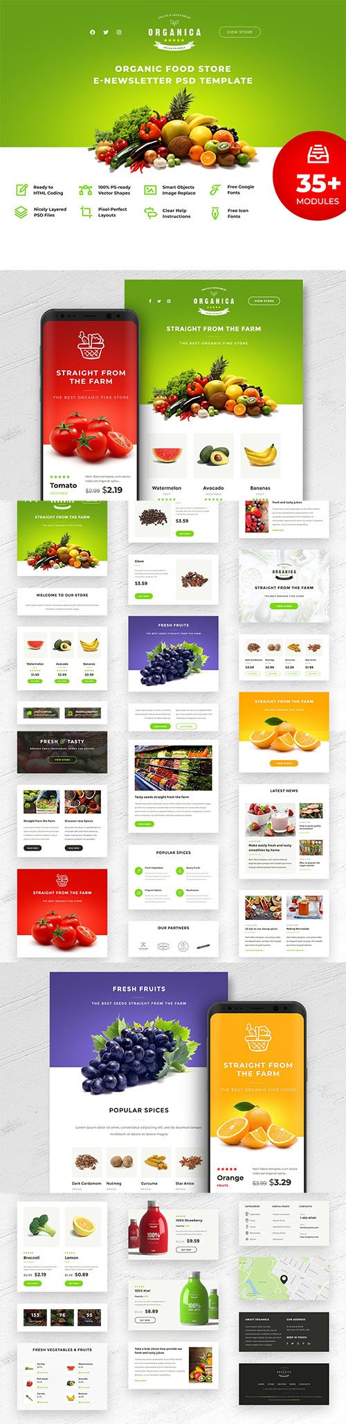 Organica - Food Store E-newsletter PSD Template