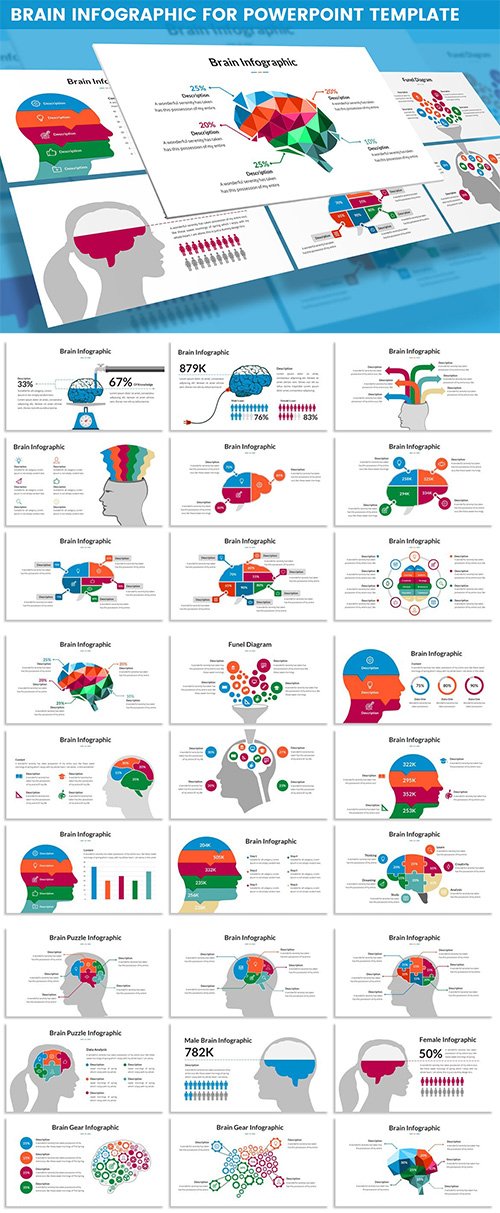 Brain Infographic for Powerpoint