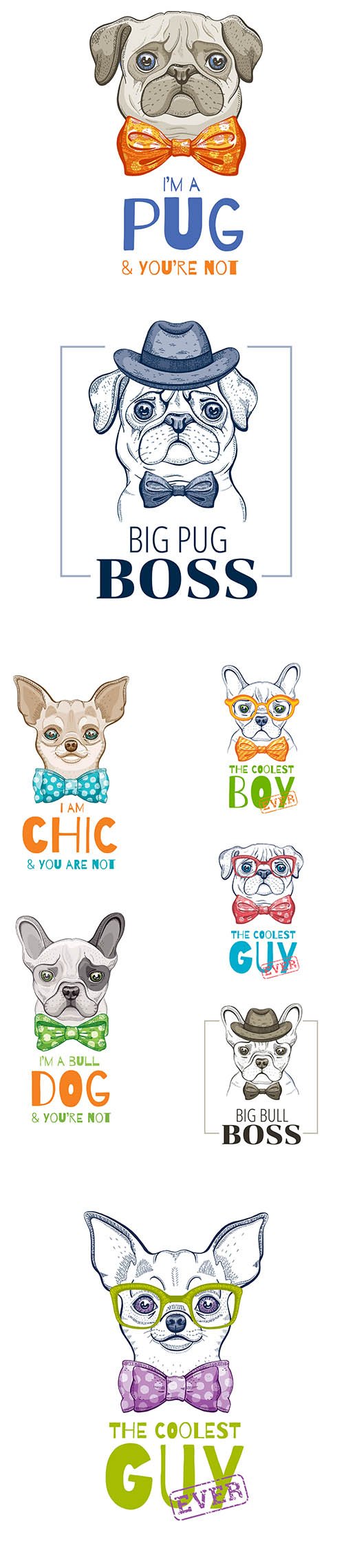 Cute Dog Illustrations