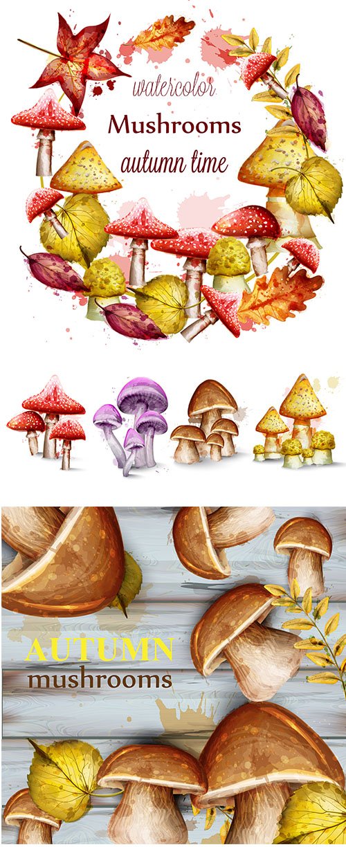 Mushrooms Watercolor Set