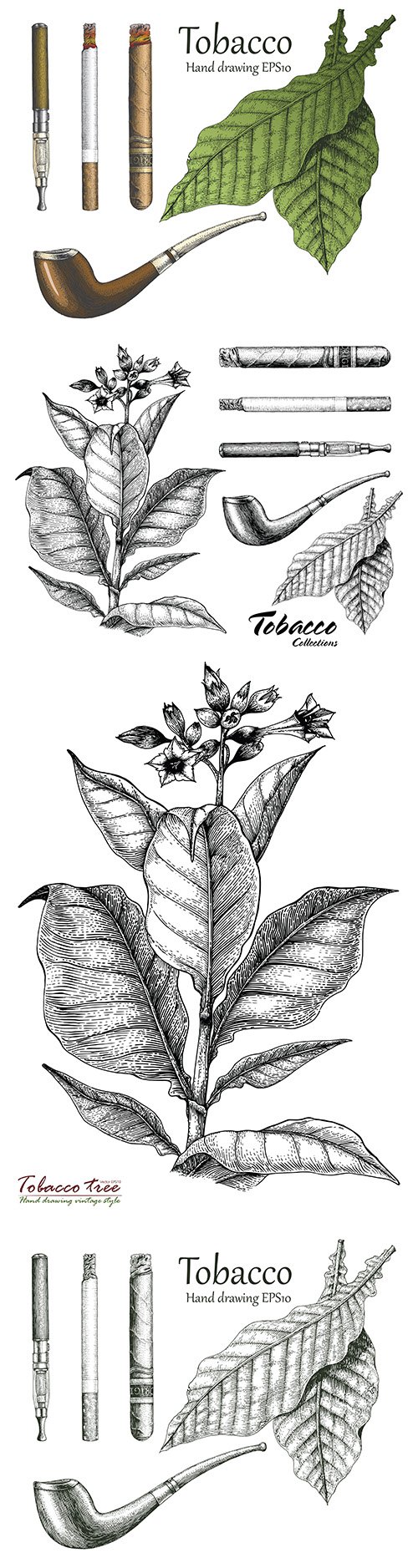 Tobacco collection hand-drawn in vintage style