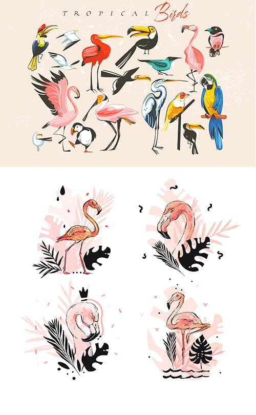 Hand-Drawn Tropical Birds Set