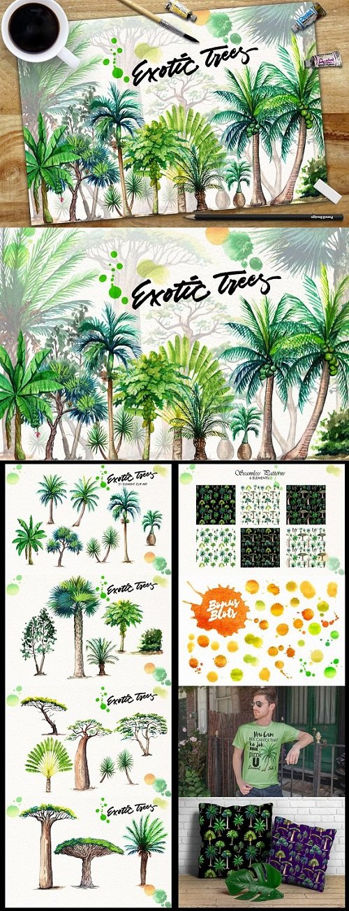 Watercolor Exotic Trees - 1640964
