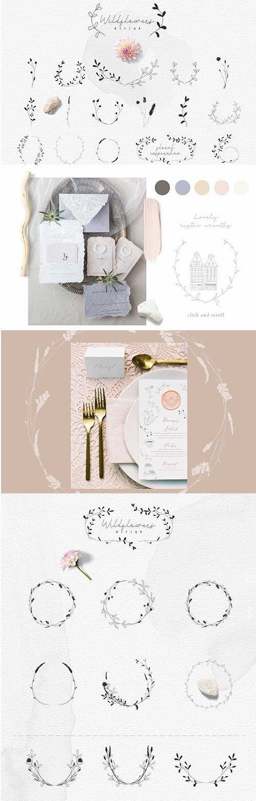 Hand-drawn Botanic elements, Wildflowers Rustic