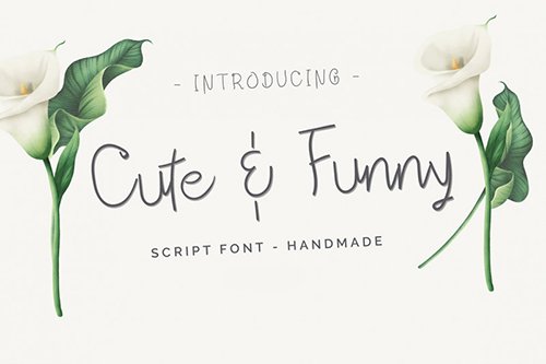 Cute and Funny Script Font