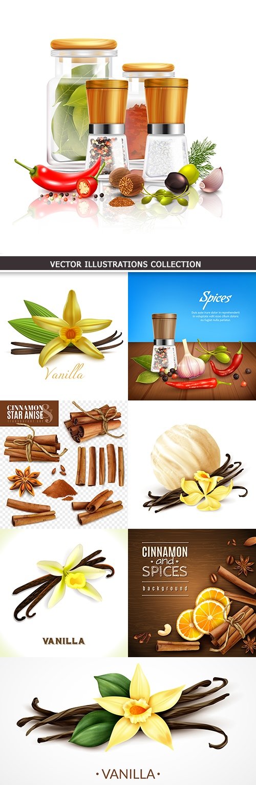 Vanilla and fragrant spices kitchen seasoning