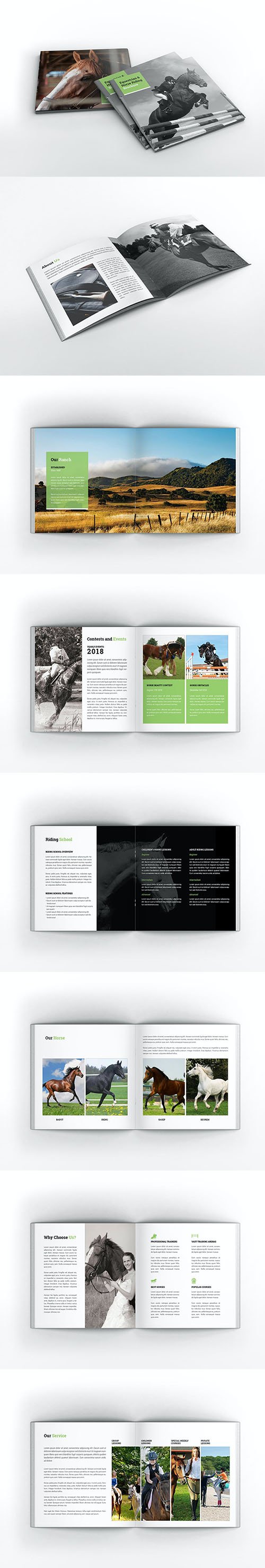Equestrian & Horse Riding Square Brochure