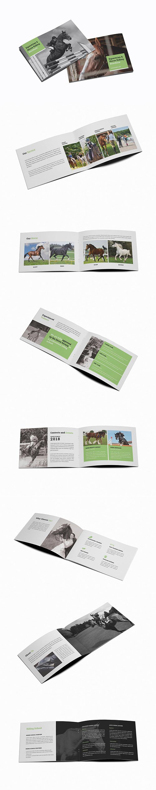 Equestrian & Horse Riding A5 Brochure