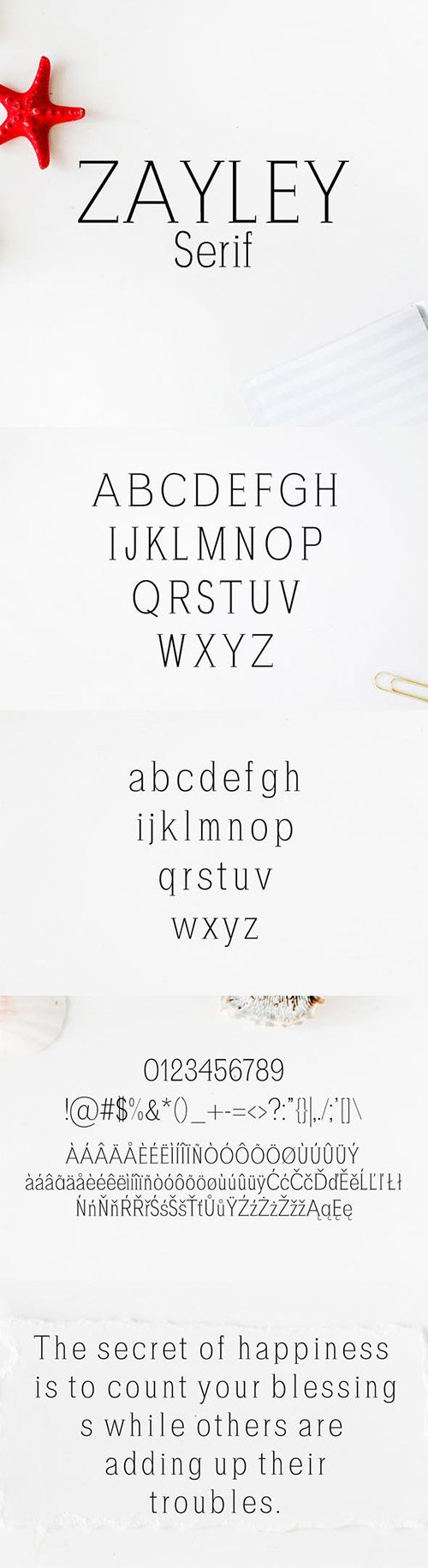 GR - Zayley Serif Regular Font 20823705