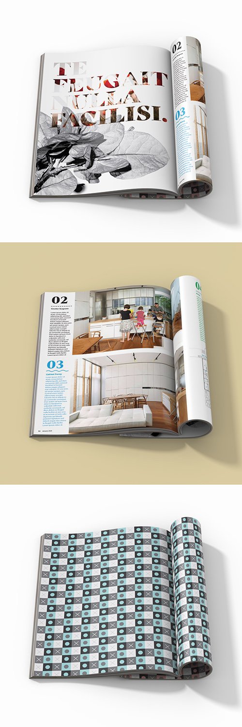Magazine Mockup 341819578