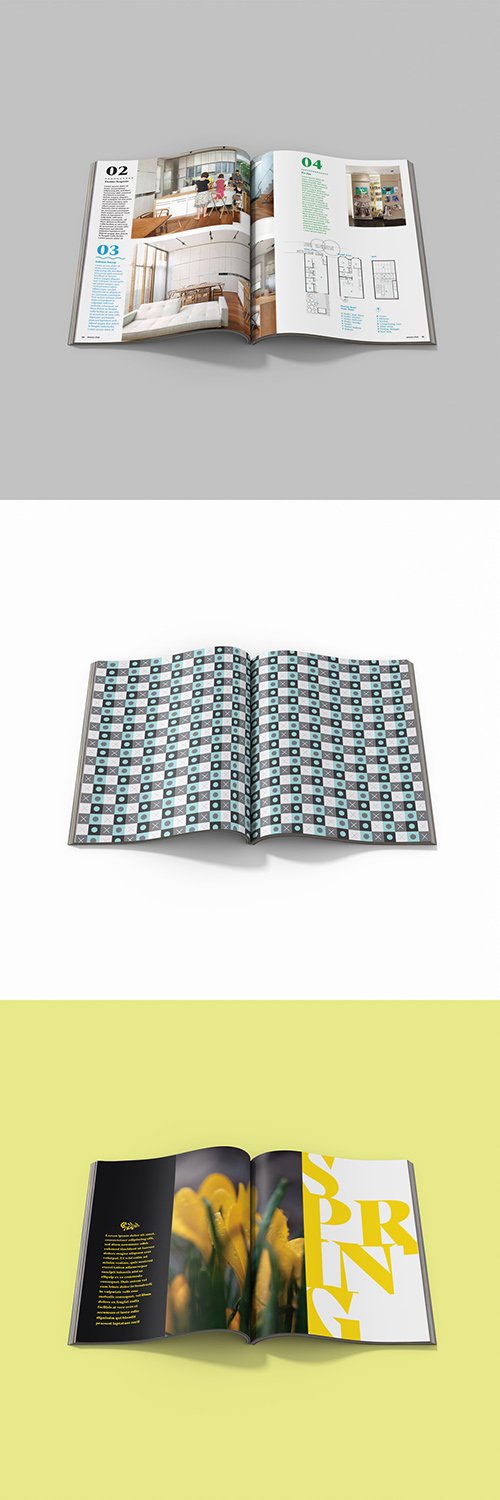 Magazine Mockup 341819599