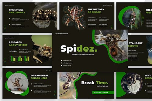 Spidez - PowerPoint, Keynote, Google Slides Template