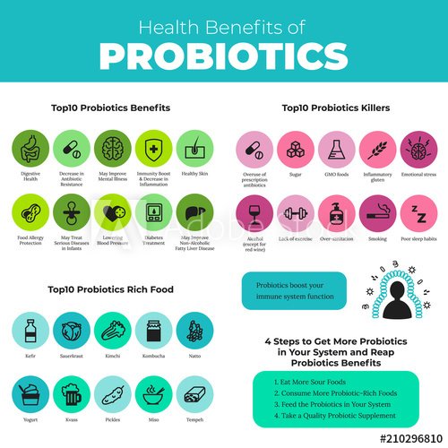 Probiotics health benefits infographic