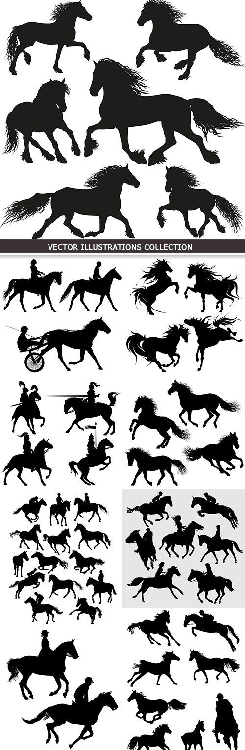 Horse thoroughbred breed and great grace silhouette