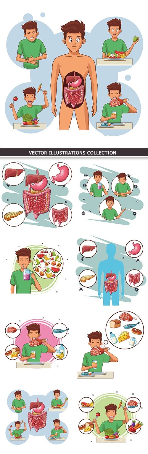 Anatomy digestive organs person cartoon illustration