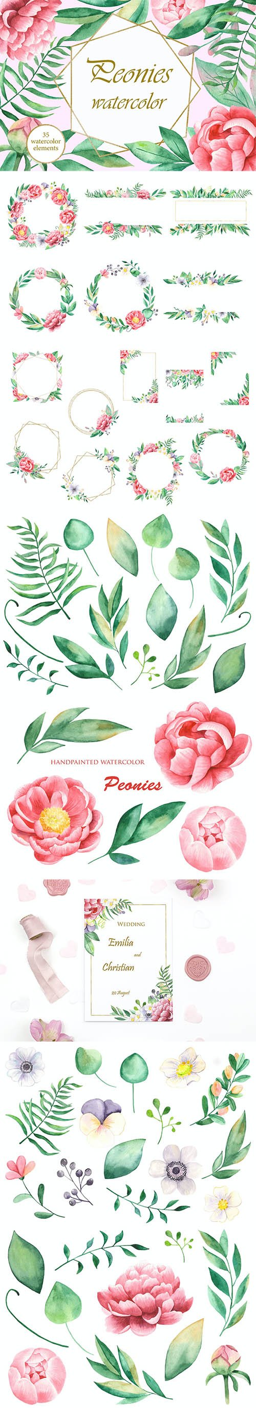 Watercolor Peonies flowers