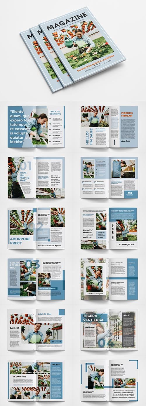 Magazine Layout with Blue Accents 339226530