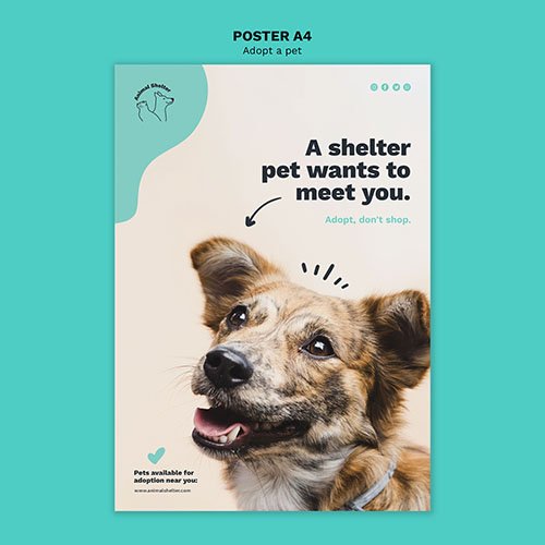 Adopt a pet poster psd style