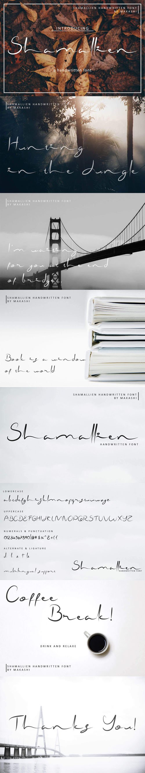 Shamallien Handwritten Script Font