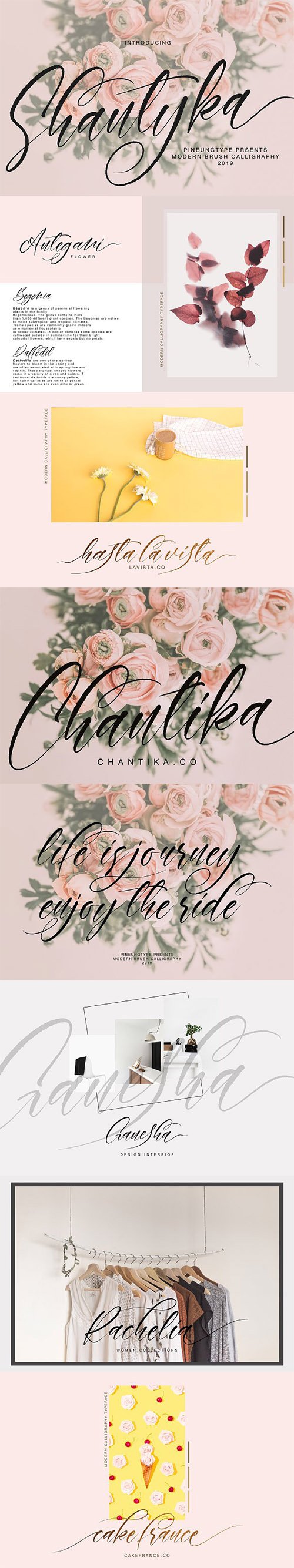 Shantyka Font 3359456