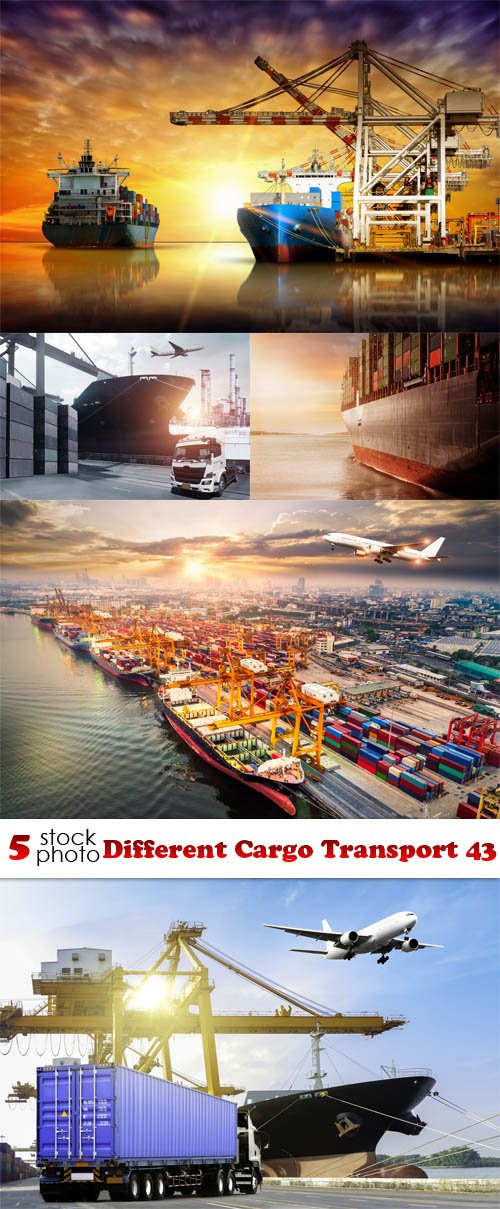 Photos - Different Cargo Transport 43