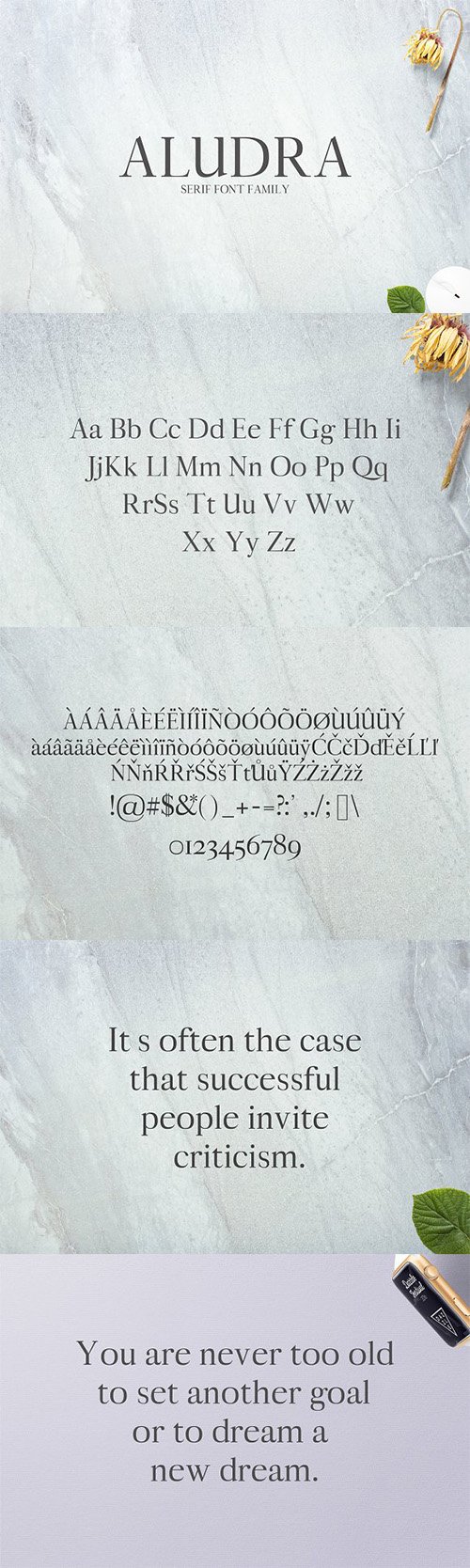 Aludra Serif 12 Font Family Pack 1399783