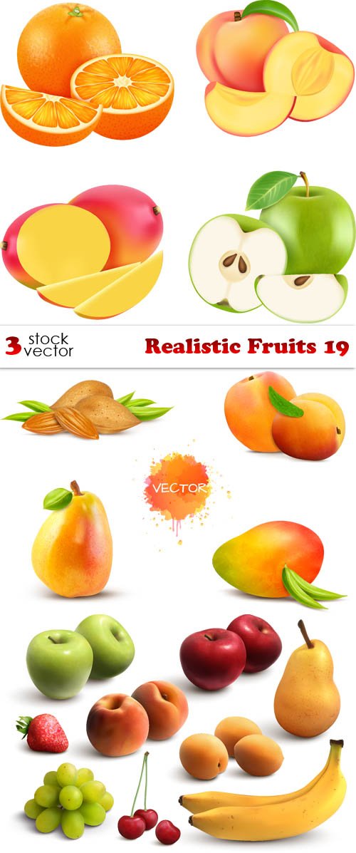 Vectors - Realistic Fruits 19