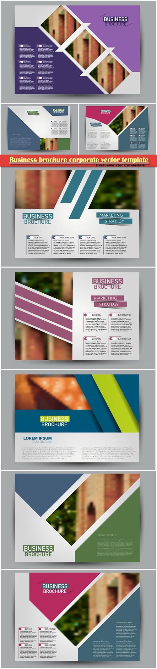 Business brochure corporate vector template