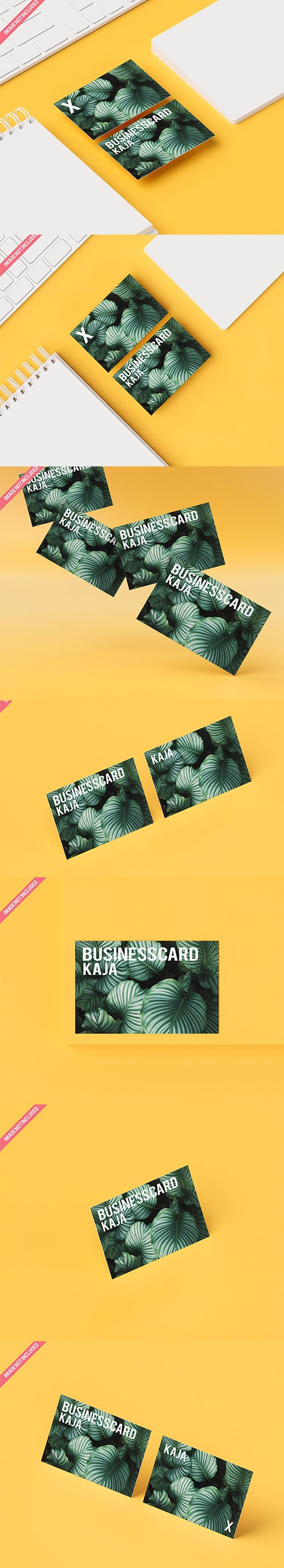 Business Card Mockup Mono Color Pack